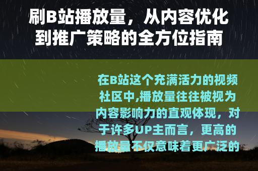 刷B站播放量，从内容优化到推广策略的全方位指南