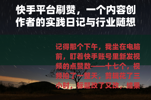快手平台刷赞，一个内容创作者的实践日记与行业随想