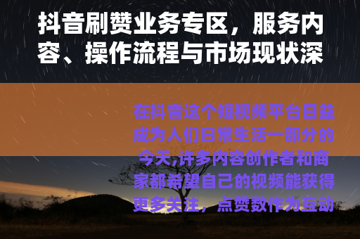 抖音刷赞业务专区，服务内容、操作流程与市场现状深度解析