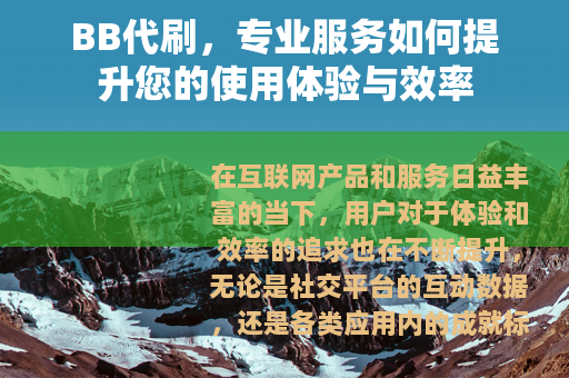 BB代刷，专业服务如何提升您的使用体验与效率