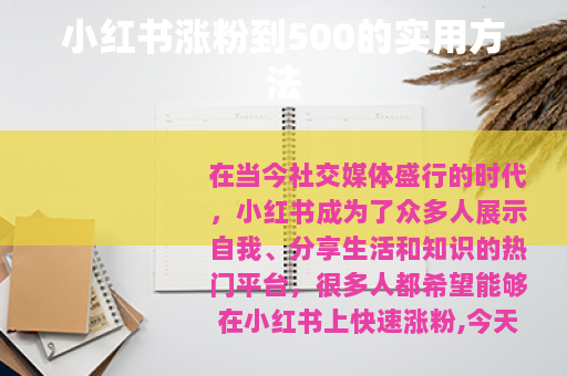 小红书涨粉到500的实用方法