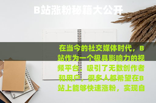 B站涨粉秘籍大公开