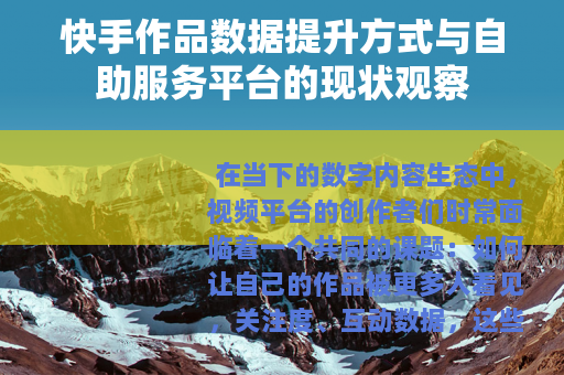 快手作品数据提升方式与自助服务平台的现状观察