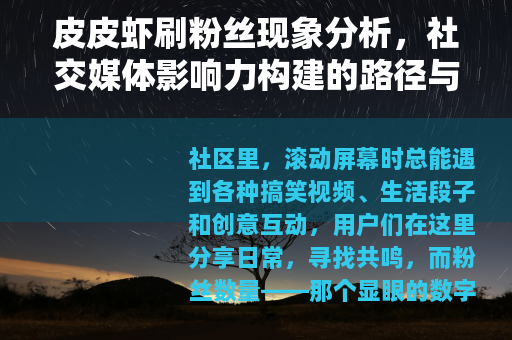 皮皮虾刷粉丝现象分析，社交媒体影响力构建的路径与思考
