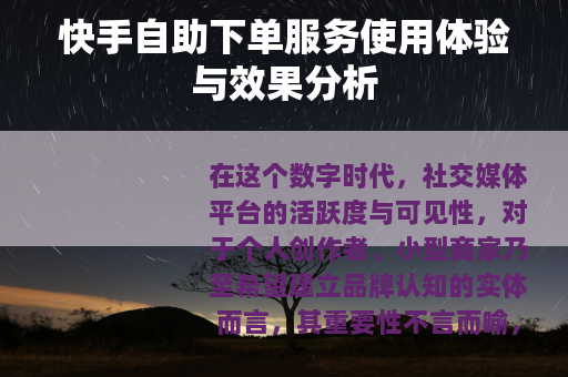 快手自助下单服务使用体验与效果分析