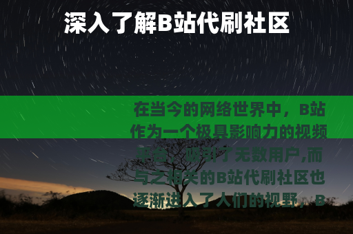 深入了解B站代刷社区