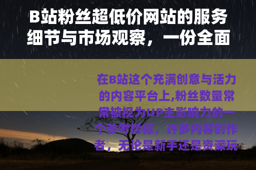 B站粉丝超低价网站的服务细节与市场观察，一份全面指南