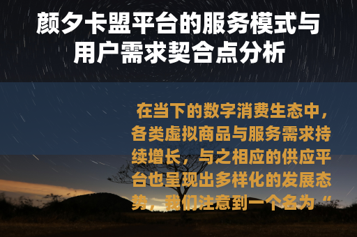 颜夕卡盟平台的服务模式与用户需求契合点分析