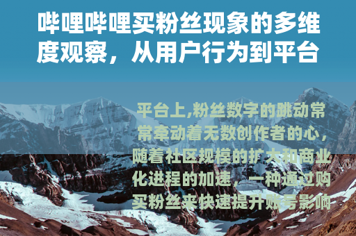 哔哩哔哩买粉丝现象的多维度观察，从用户行为到平台生态的演进轨迹
