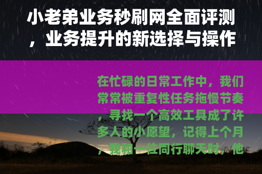 小老弟业务秒刷网全面评测，业务提升的新选择与操作指南