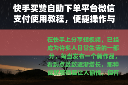 快手买赞自助下单平台微信支付使用教程，便捷操作与体验分享