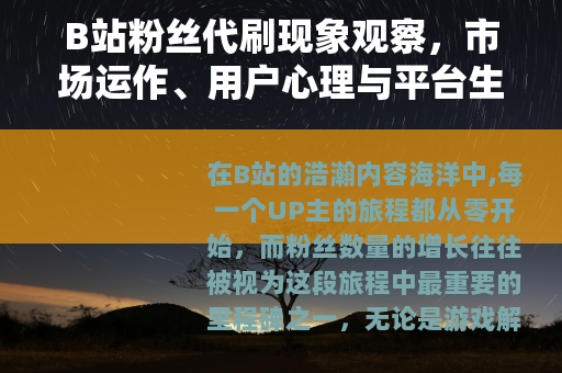 B站粉丝代刷现象观察，市场运作、用户心理与平台生态的互动分析