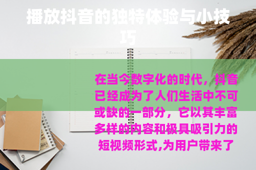 播放抖音的独特体验与小技巧
