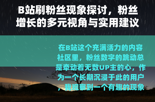 B站刷粉丝现象探讨，粉丝增长的多元视角与实用建议