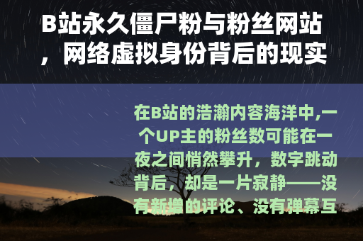 B站永久僵尸粉与粉丝网站，网络虚拟身份背后的现实考量