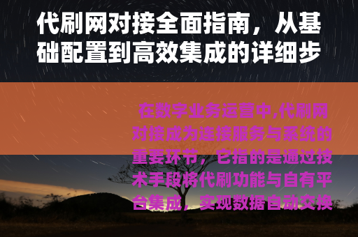 代刷网对接全面指南，从基础配置到高效集成的详细步骤与实用技巧
