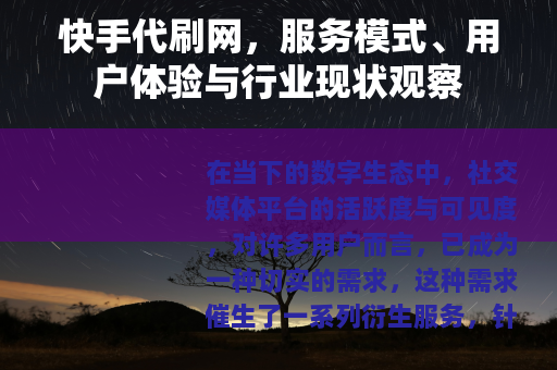 快手代刷网，服务模式、用户体验与行业现状观察
