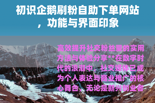 初识企鹅刷粉自助下单网站，功能与界面印象