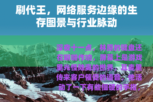 刷代王，网络服务边缘的生存图景与行业脉动