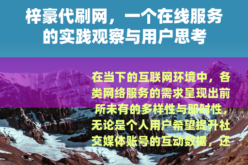 梓豪代刷网，一个在线服务的实践观察与用户思考