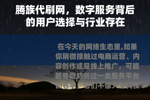 腾族代刷网，数字服务背后的用户选择与行业存在
