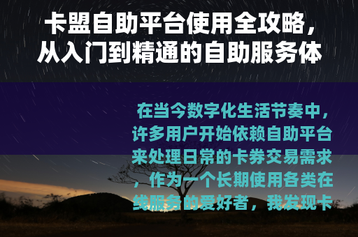 卡盟自助平台使用全攻略，从入门到精通的自助服务体验分享