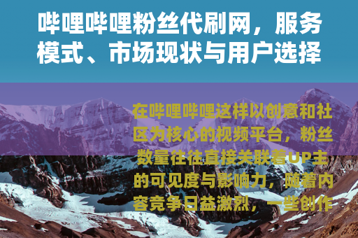 哔哩哔哩粉丝代刷网，服务模式、市场现状与用户选择考量