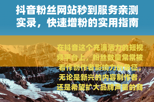 抖音粉丝网站秒到服务亲测实录，快速增粉的实用指南与个人感悟