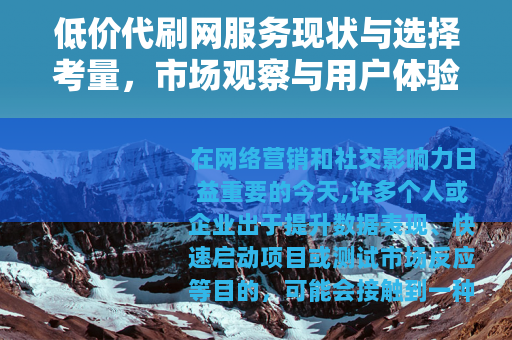 低价代刷网服务现状与选择考量，市场观察与用户体验分析