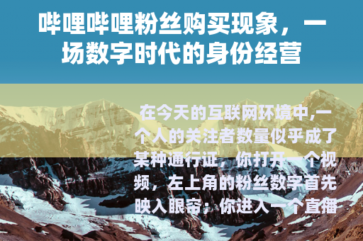 哔哩哔哩粉丝购买现象，一场数字时代的身份经营