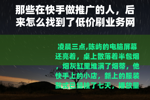 那些在快手做推广的人，后来怎么找到了低价刷业务网站