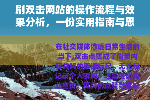 刷双击网站的操作流程与效果分析，一份实用指南与思考