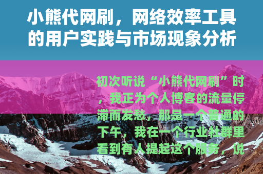 小熊代网刷，网络效率工具的用户实践与市场现象分析