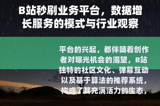 B站秒刷业务平台，数据增长服务的模式与行业观察