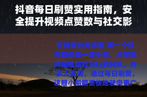 抖音每日刷赞实用指南，安全提升视频点赞数与社交影响力的方法分享