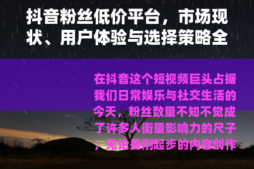 抖音粉丝低价平台，市场现状、用户体验与选择策略全解析