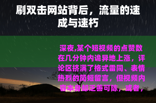 刷双击网站背后，流量的速成与速朽