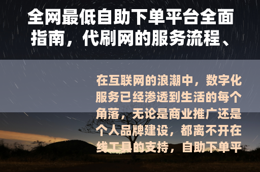 全网最低自助下单平台全面指南，代刷网的服务流程、优势与选择技巧