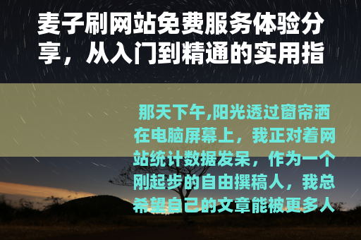 麦子刷网站免费服务体验分享，从入门到精通的实用指南