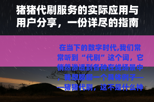猪猪代刷服务的实际应用与用户分享，一份详尽的指南