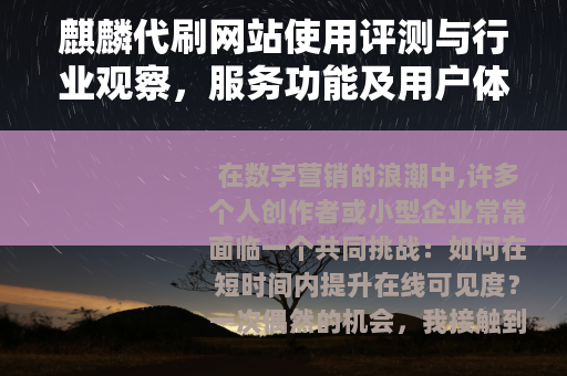 麒麟代刷网站使用评测与行业观察，服务功能及用户体验深度分析