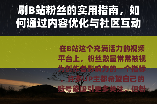 刷B站粉丝的实用指南，如何通过内容优化与社区互动实现自然增长