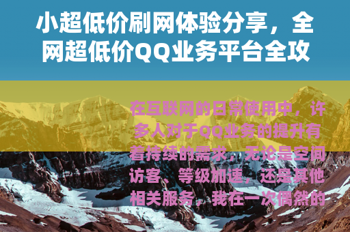 小超低价刷网体验分享，全网超低价QQ业务平台全攻略