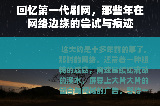 回忆第一代刷网，那些年在网络边缘的尝试与痕迹