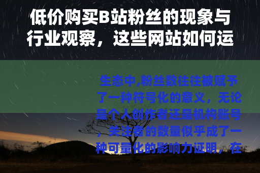 低价购买B站粉丝的现象与行业观察，这些网站如何运作？