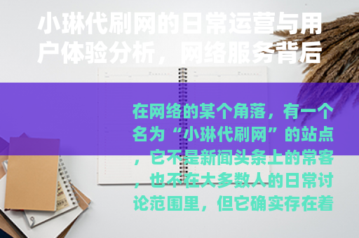 小琳代刷网的日常运营与用户体验分析，网络服务背后的实际生态观察