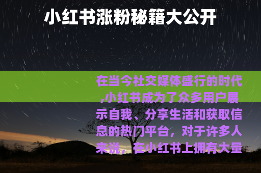 小红书涨粉秘籍大公开