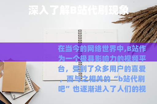 深入了解B站代刷现象