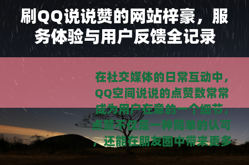 刷QQ说说赞的网站梓豪，服务体验与用户反馈全记录