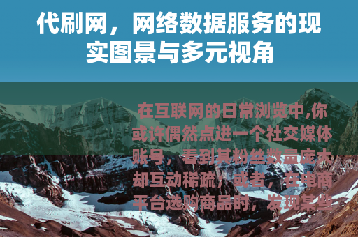 代刷网，网络数据服务的现实图景与多元视角